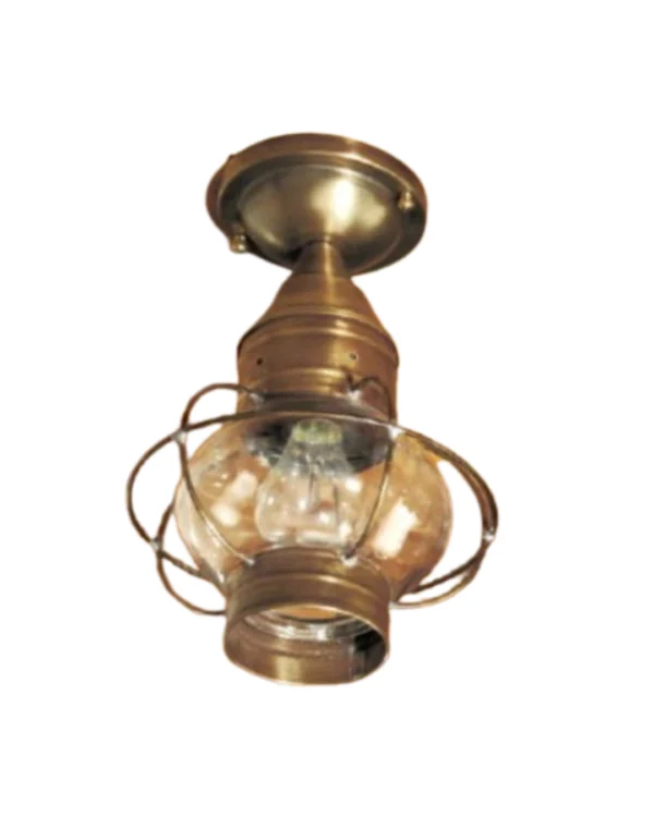Caged Onion Flush Mount Light